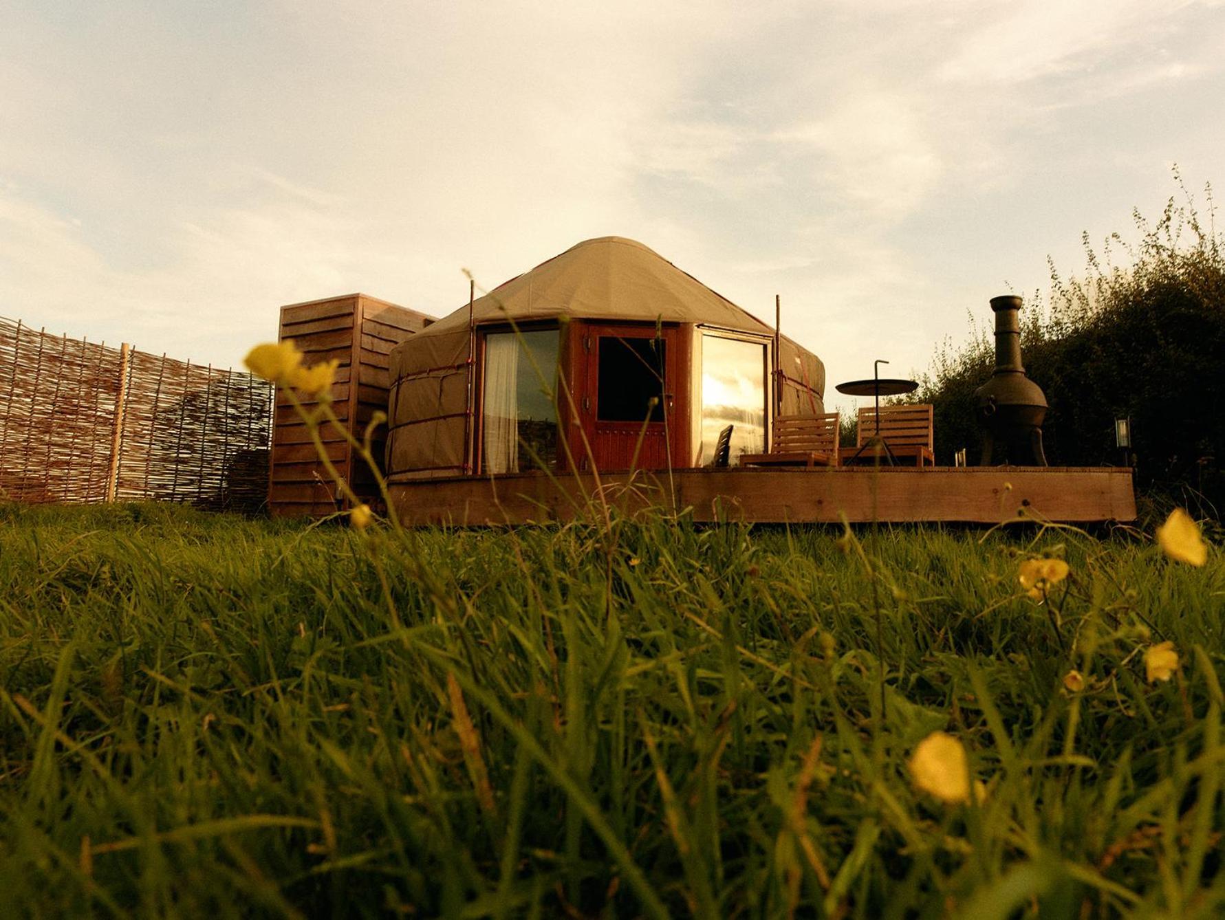 Nature Hiigher Farm Campsite Ditcheat