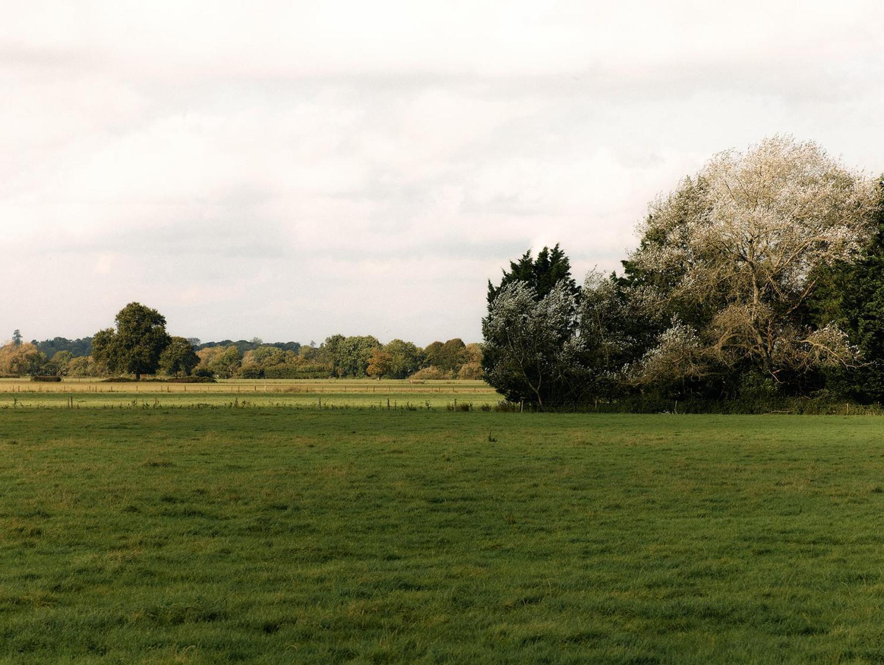 Nature Hiigher Farm